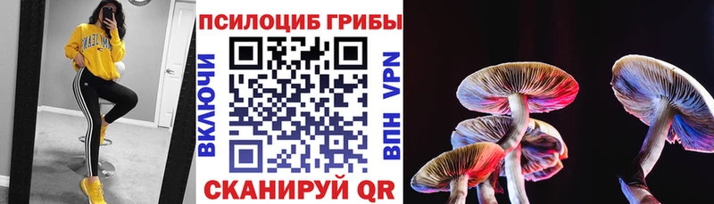 Псилоцибиновые грибы GOLDEN TEACHER  Волосово 